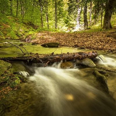 极速飞艇平台 63o 6967