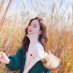 金年会体育app手机注册